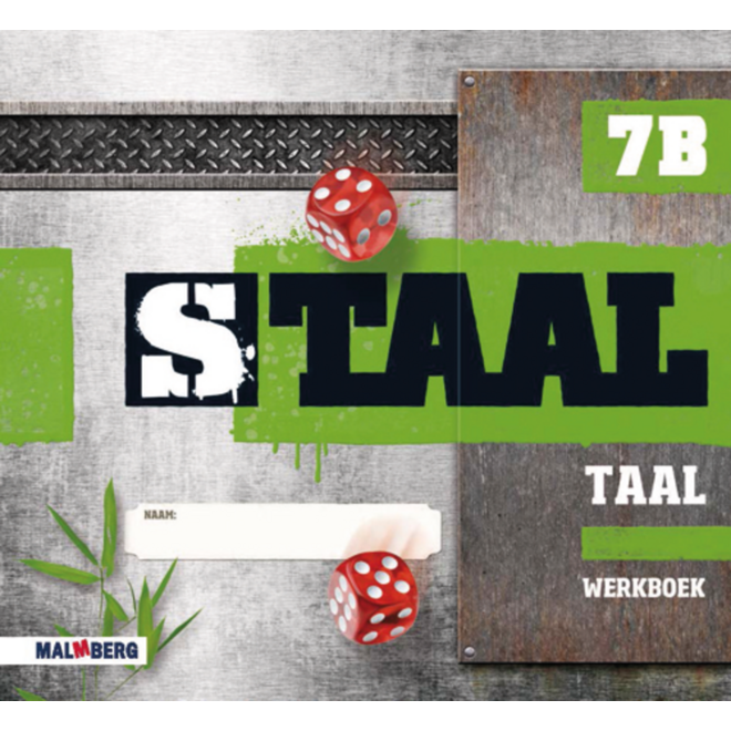 Staal taal groep 7 werkboek B