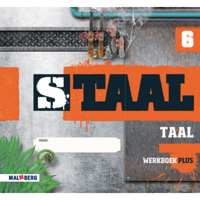 Staal taal Plus groep 6 werkboek