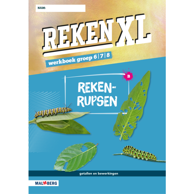 RekenXL leerwerkboek Rekenrupsen/Gespiegeld groep 6/7/8 B (5 stuks)