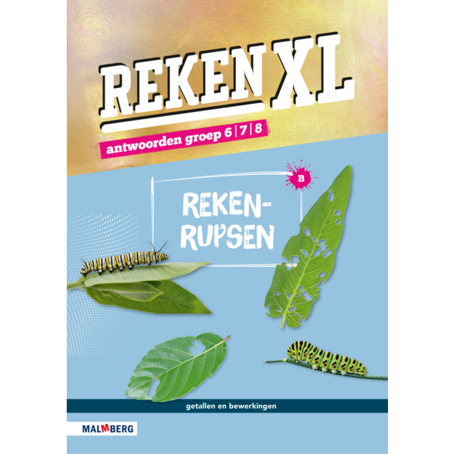 RekenXL antwoordenboek Rekenrupsen/Gespiegeld groep 6/7/8 B