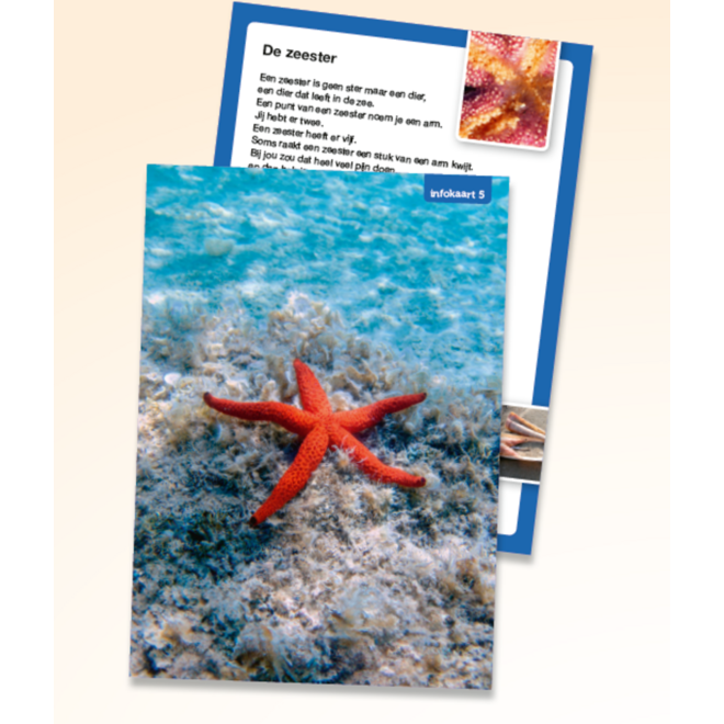 Veilig leren lezen Zoem infokaarten