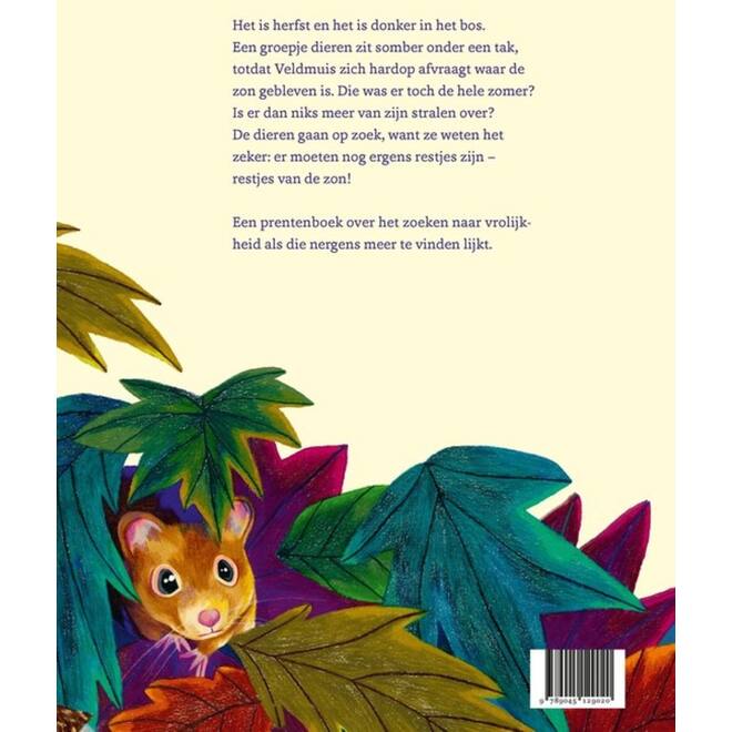 De restjes van de zon - Edward van de Vendel