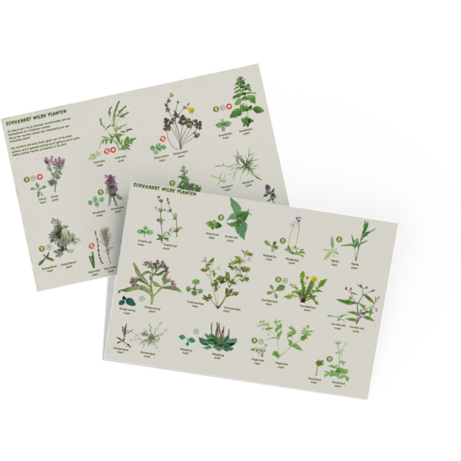 Onderzoekend Tuinieren lesmethode groep 1 t/m 8