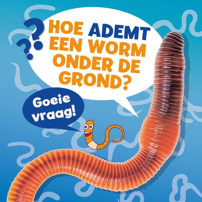 Hoe ademt een worm onder de grond? - Ellen Labrecque