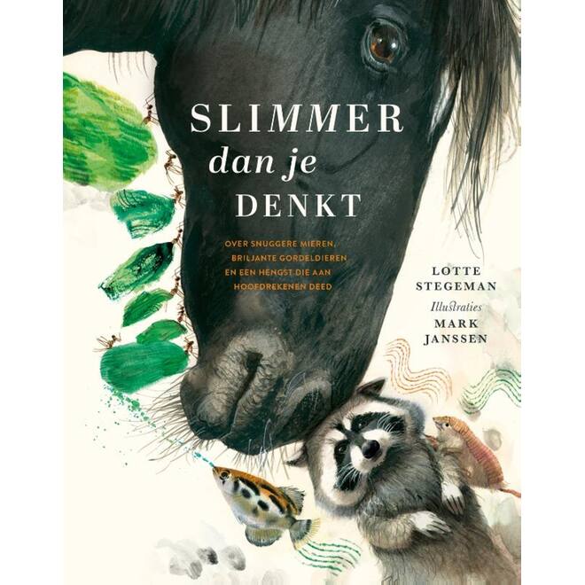 Slimmer dan je denkt - Lotte Stegeman