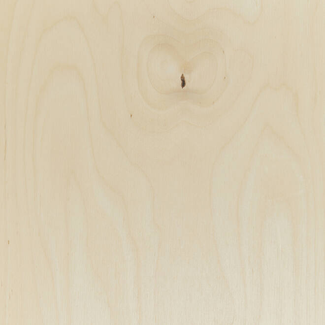 Plateau zandwatertafel 6101211 formaat 852x700 mm