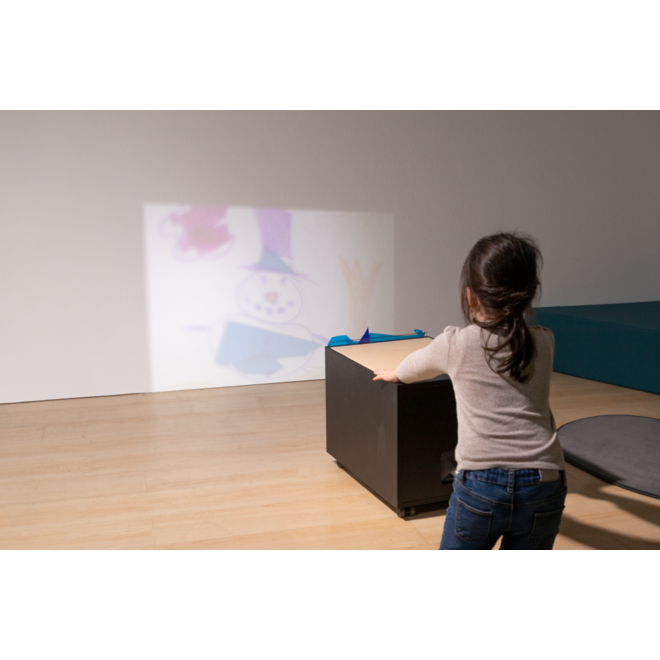 Projector