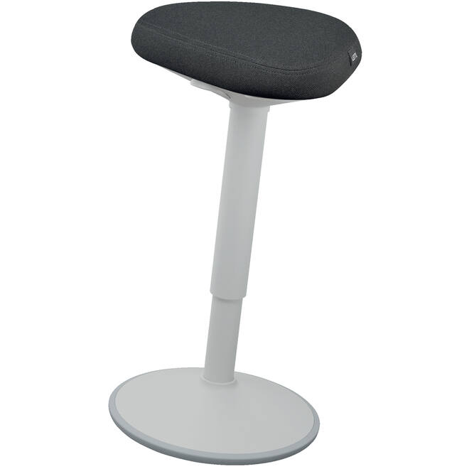 Leitz Ergo Wiebelkruk met Gasveer (57 - 82 cm) Lichtgrijs