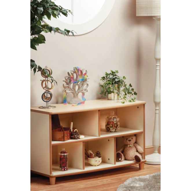 Kast met 5 vakken,  97,5 x 40 x 56 (lxbxh), PT1124