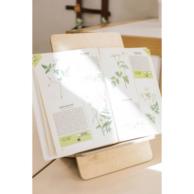 Book Buddy XL
