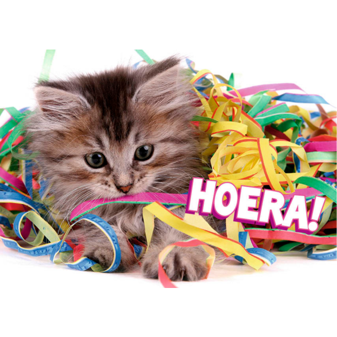 Miniposters 1048 confettidieren, 4 motieven, 20 stuks