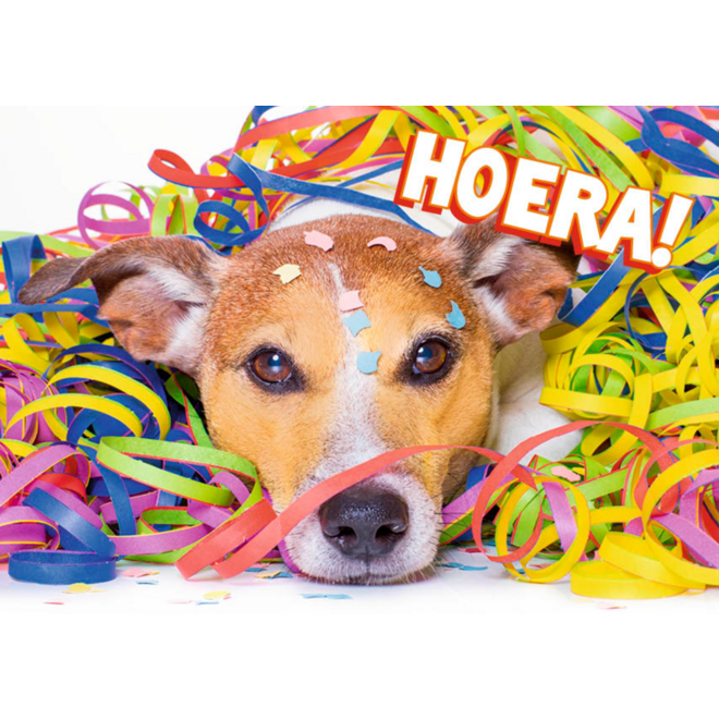 Miniposters 1048 confettidieren, 4 motieven, 20 stuks
