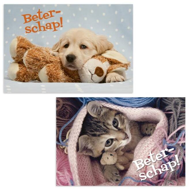 Miniposters 1054 beterschap, 2 motieven, 20 stuks