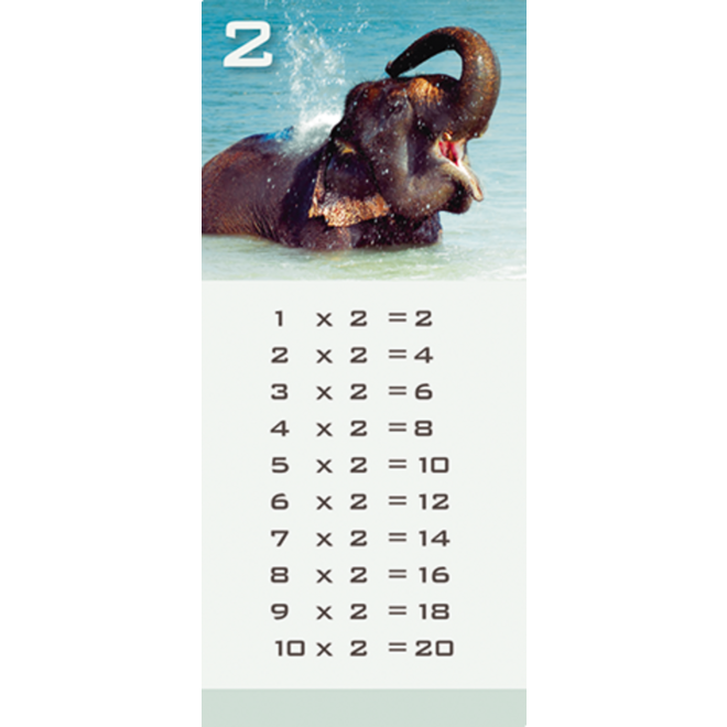 Tafelkaartjes Werelddieren 3022 12 motieven, 120 stuks