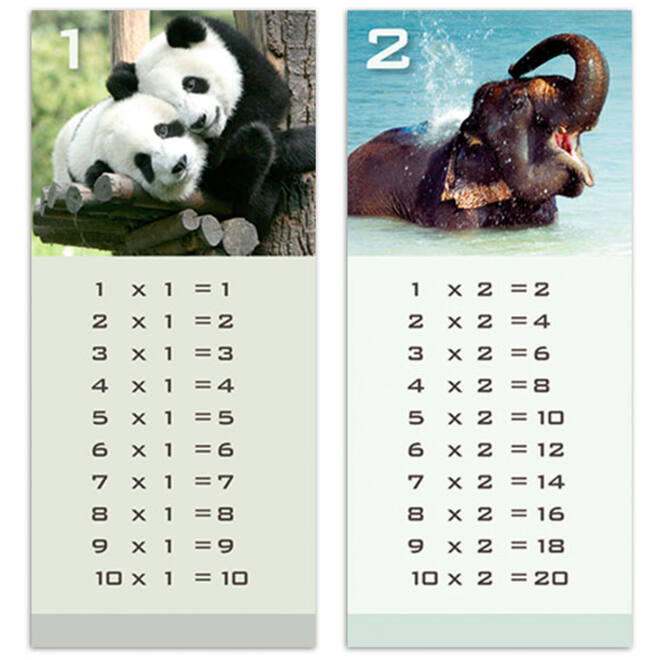 Tafelkaartjes Werelddieren 3022 12 motieven, 120 stuks