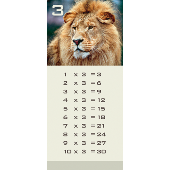 Tafelkaartjes Werelddieren 3022 12 motieven, 120 stuks