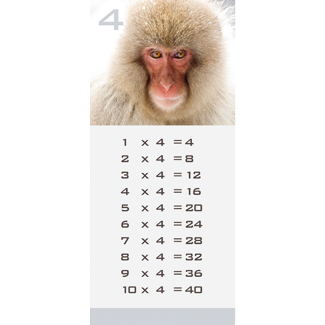 Tafelkaartjes Werelddieren 3022 12 motieven, 120 stuks