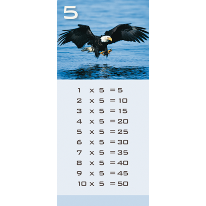 Tafelkaartjes Werelddieren 3022 12 motieven, 120 stuks