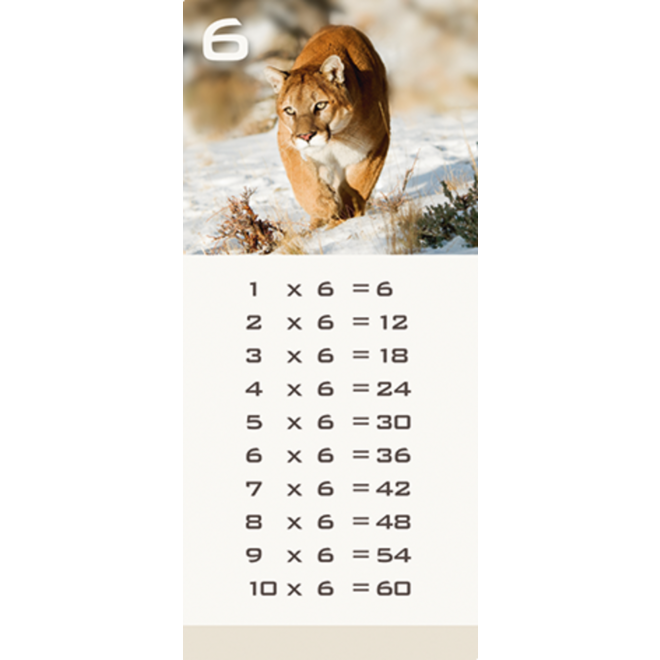 Tafelkaartjes Werelddieren 3022 12 motieven, 120 stuks