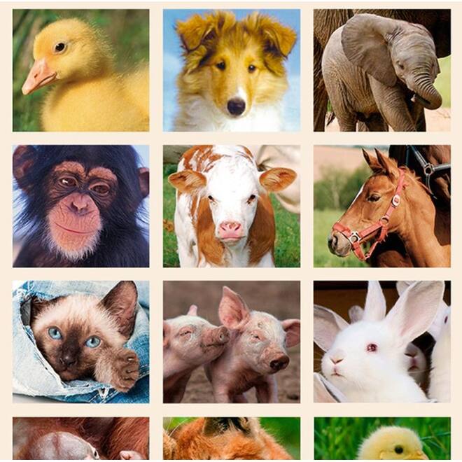 Beloningsstickers Baby Dieren 344, 40 motieven, 800 stuks