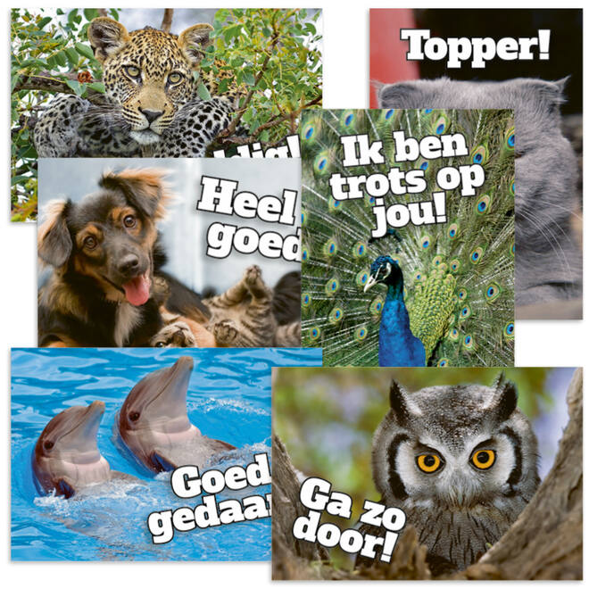 Beloningskaarten Motivatiedieren 4567, 6 motieven, 96 stuks