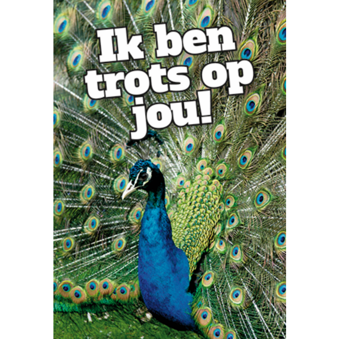 Beloningskaarten Motivatiedieren 4567, 6 motieven, 96 stuks