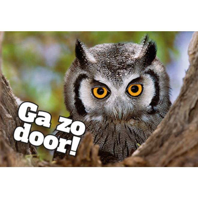 Beloningskaarten Motivatiedieren 4567, 6 motieven, 96 stuks