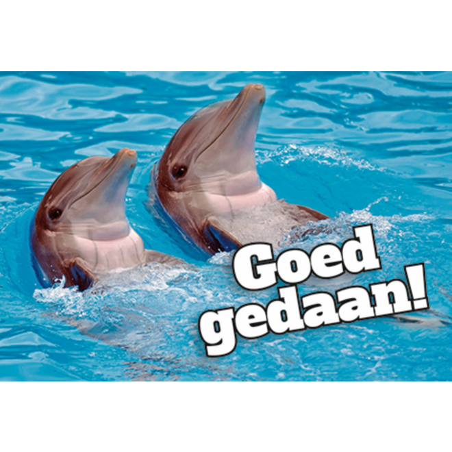 Beloningskaarten Motivatiedieren 4567, 6 motieven, 96 stuks