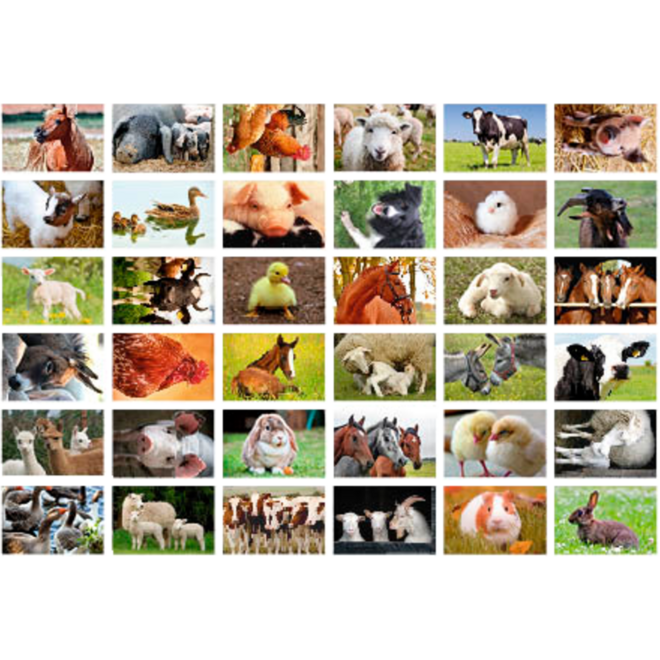 Beloningsstickers 408 boerderijdieren, 36 motieven, 720 stuks