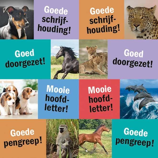 Beloningsstickers 127 Schrijf plezier 24 motieven, 480 stickers