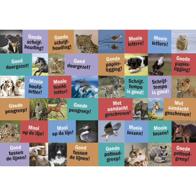 Beloningsstickers 127 Schrijf plezier 24 motieven, 480 stickers