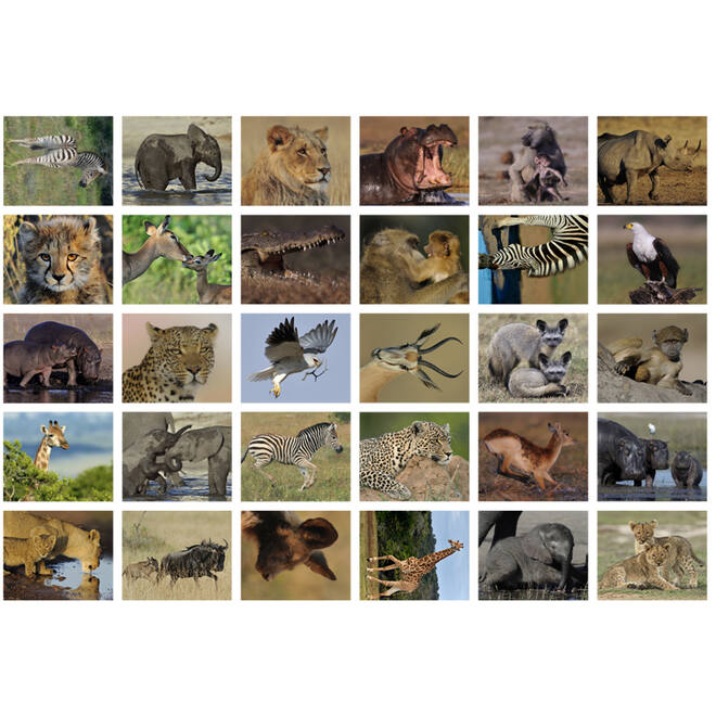 Beloningsstickers 118 Zuid Afrika 30 motieven, 600 stickers