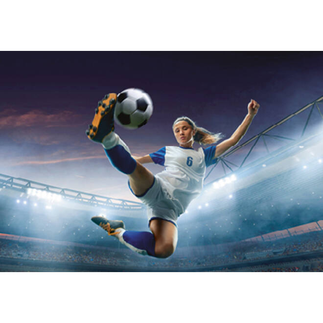 Beloningskaarten 4617 Voetbalmeiden 4 motieven, 96 kaarten