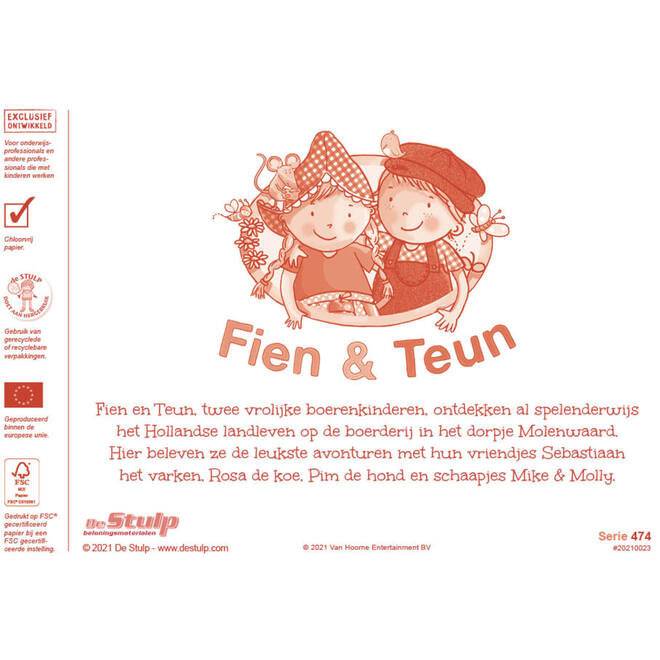 Miniposters Fien en Teun 1078 2 motieven, 20 stuks