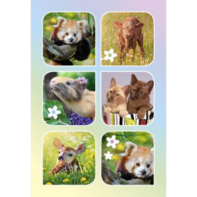 Beloningskaarten 4598 Lieve Lentediertjes,6 motieven, 96 stuks
