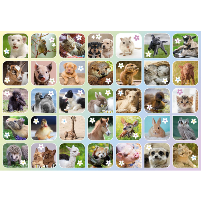 Beloningsstickers 462 Lieve Lentediertjes, 35 motieven, 700 stuks