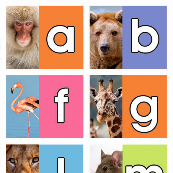 Beloningsstickers 467 Het Dieren ABC, 30 motieven, 600 stuks