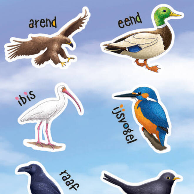 Beloningsstickers 149 Vogels 36 motieven, 720 stuks