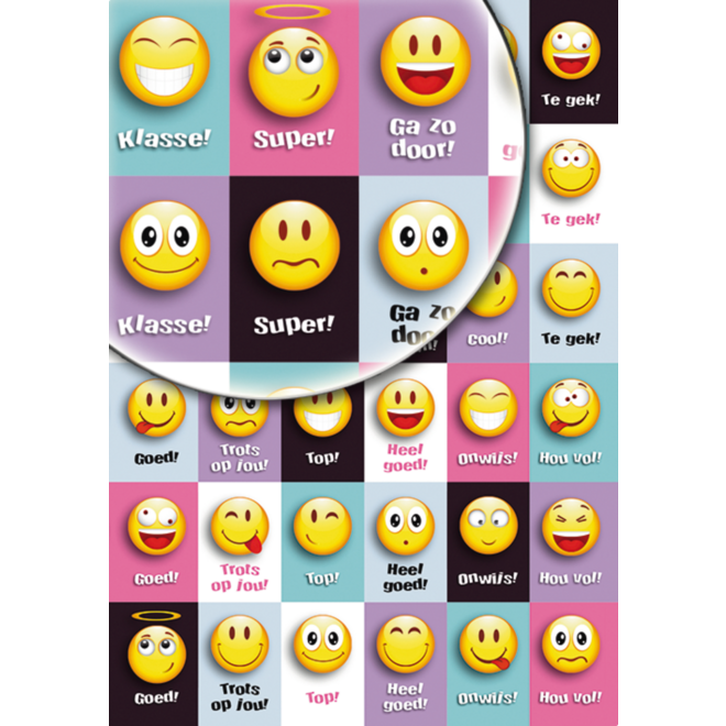 Beloningsstickers Smileys 034 36 motieven, 720 stickers