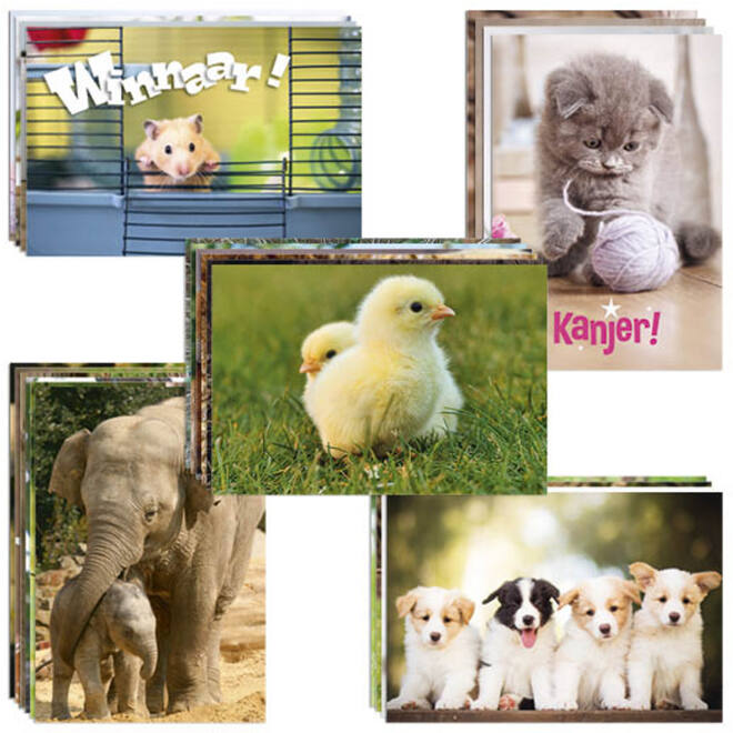 Beloningskaarten snelbestelpakket Dieren 8301, 20 mot. 480 st.
