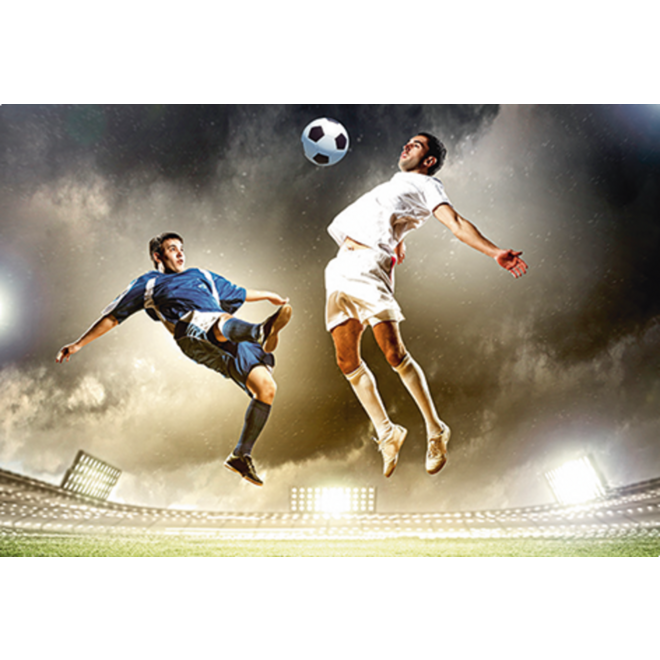 Beloningskaarten Voetbal 4251 4 motieven, 96 stuks