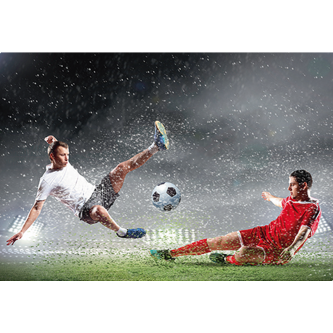 Beloningskaarten Voetbal 4251 4 motieven, 96 stuks