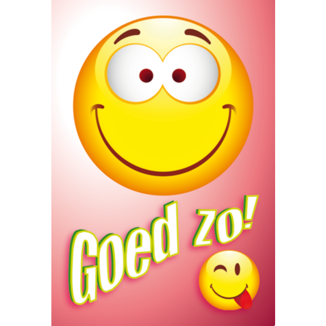 Beloningskaarten Smileys met teksten 4480, 4 motieven, 96 stuks