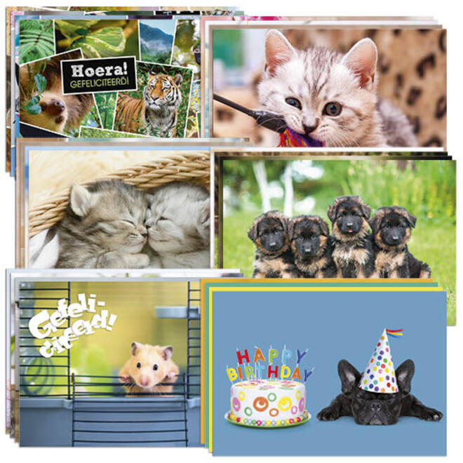 Miniposters snelbestelpakket Dieren 8101,12 mot. 120 st.