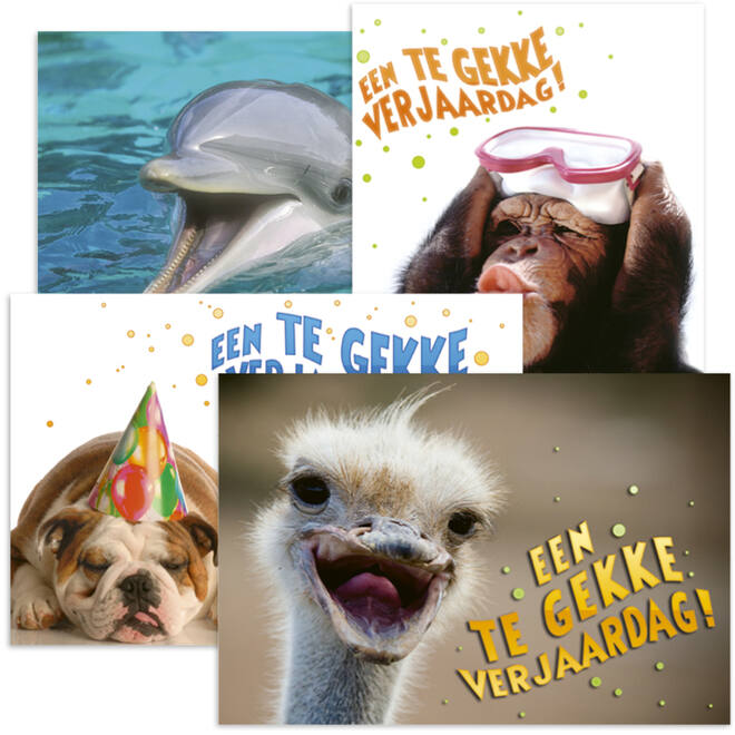 Miniposters Grappige Dieren 991 4 motieven, 20 stuks