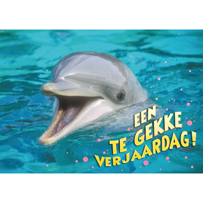 Miniposters Grappige Dieren 991 4 motieven, 20 stuks