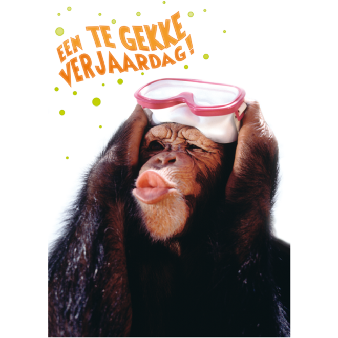 Miniposters Grappige Dieren 991 4 motieven, 20 stuks