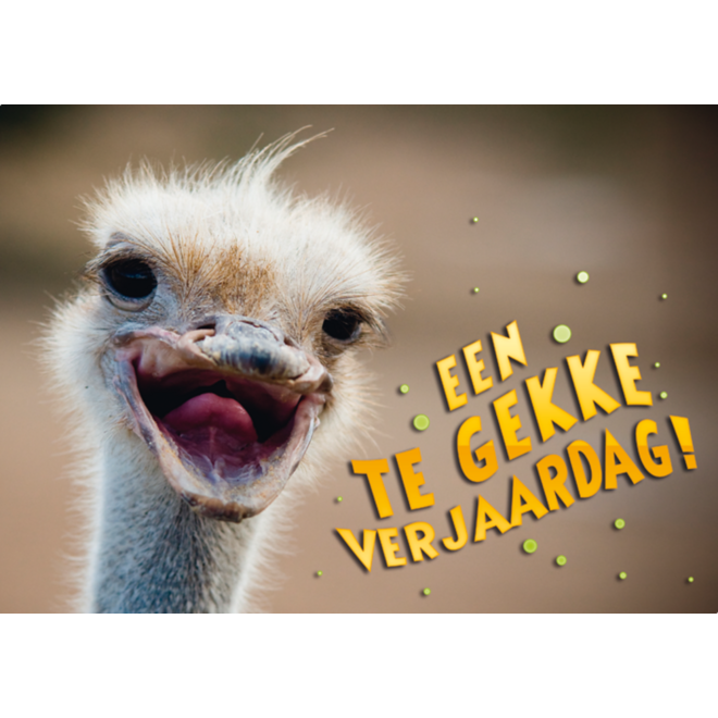 Miniposters Grappige Dieren 991 4 motieven, 20 stuks
