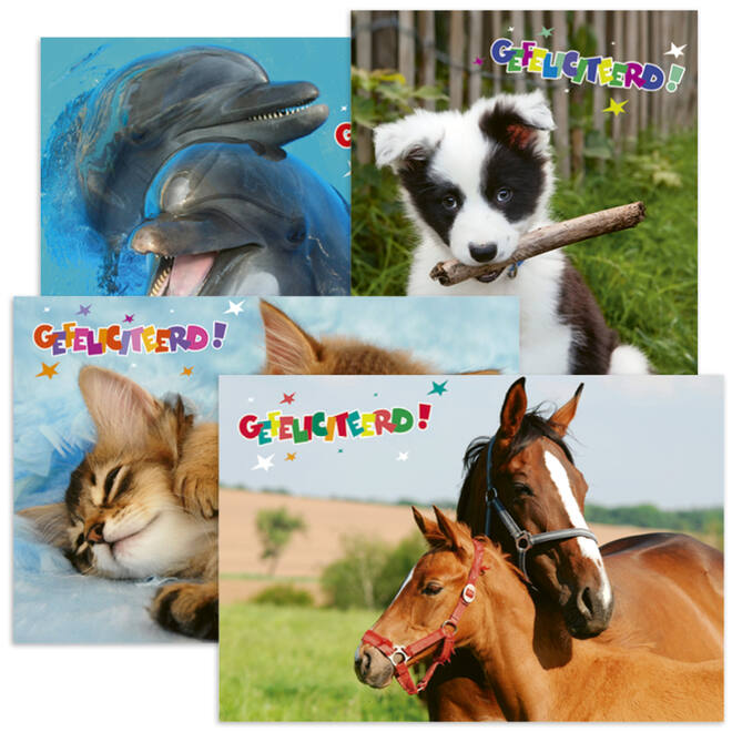 Miniposters Dieren gefelciteerd 994 4 motieven, 20 stuks