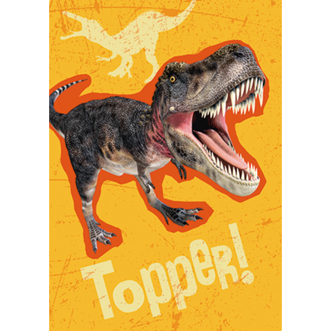 Beloningskaarten Dino's 4552 4 motieven, 96 stuks
